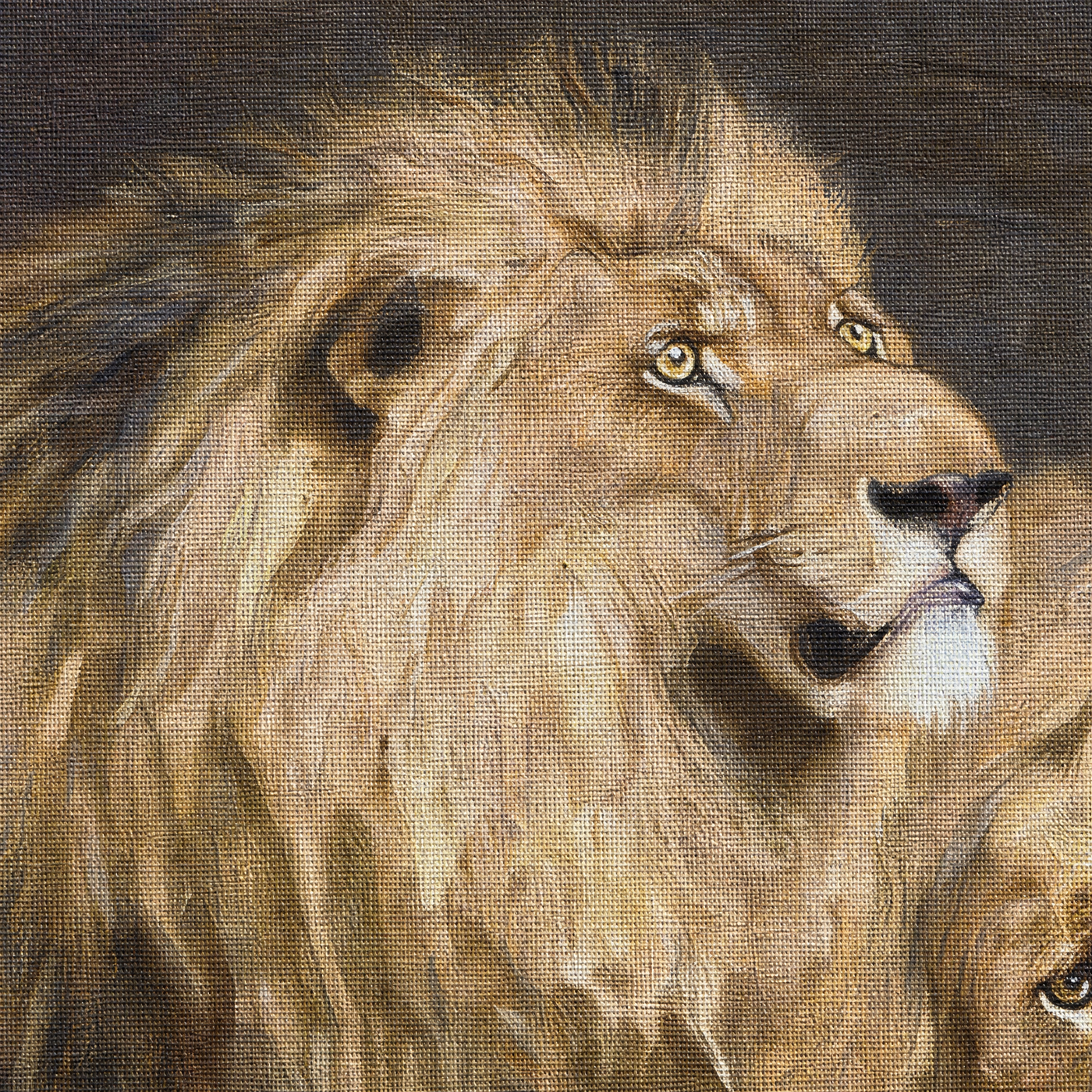 Canvas texture macro of the great lion's mane