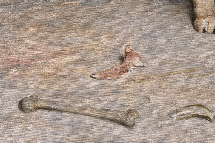 Detail: the bones scattered on the den floor